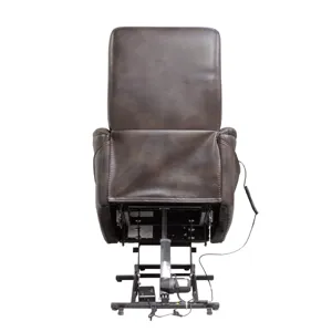 Gemini Truffle Power Lift Recliner with Articulating Headrest Two Pack