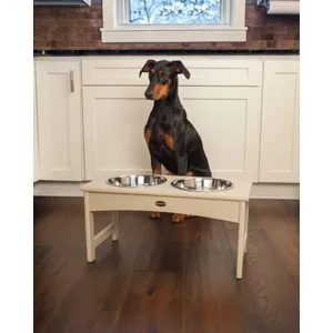 Pet Feeder
