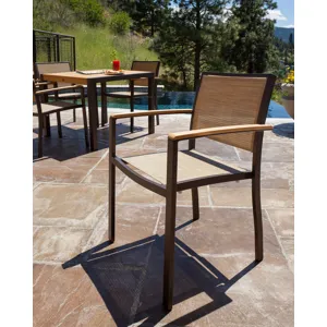 Bayline Dining Arm Chair