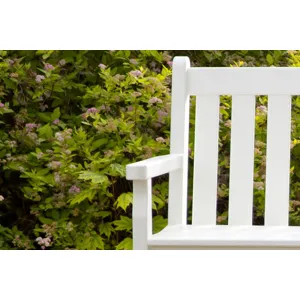Traditional Garden Arm Chair