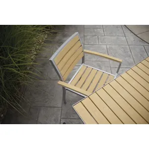 Euro Dining Arm Chair