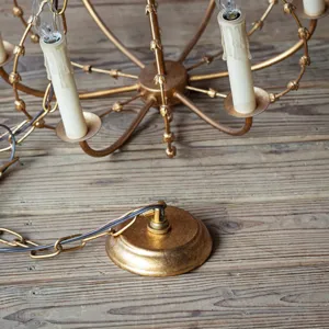Georgetown Gilded Light Fixture