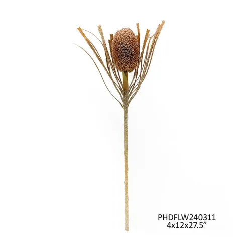 Banksia Protea Coffee