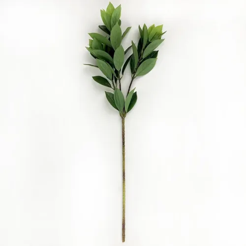 Bay Leaf Branch