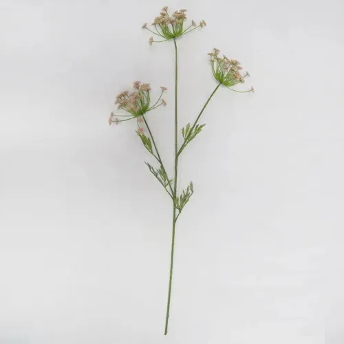 Estate Garden Queen Anne's Lace Pink