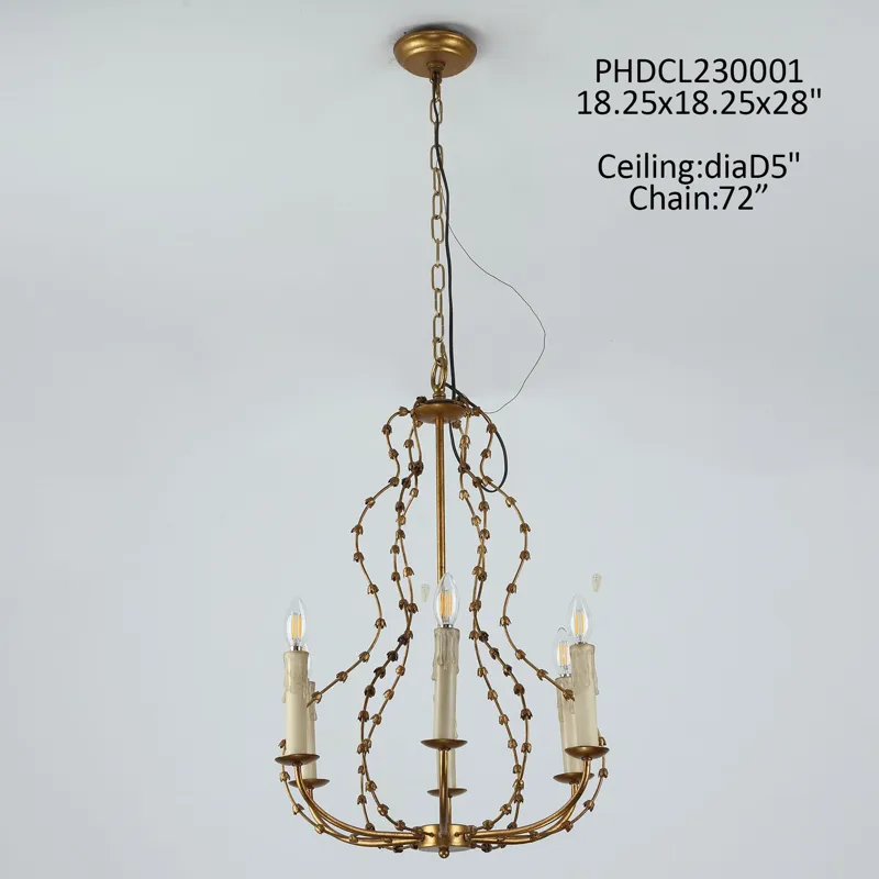 Georgetown Gilded Light Fixture