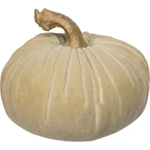 107421_40_.jpg