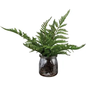 Jar - Fern