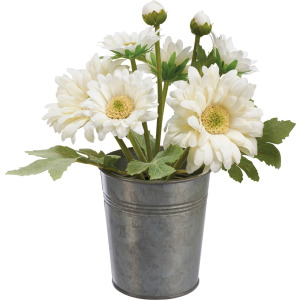 Gerbera Daisies Planter
