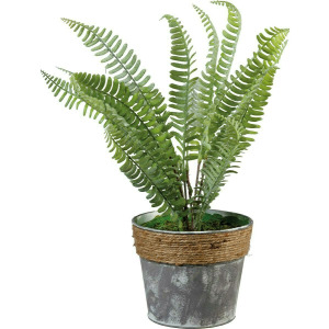 Planter - Fern