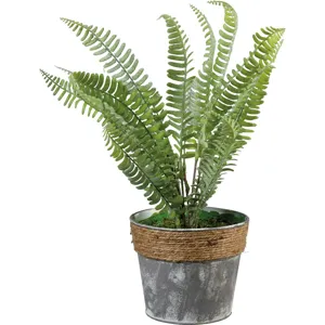 Planter - Fern