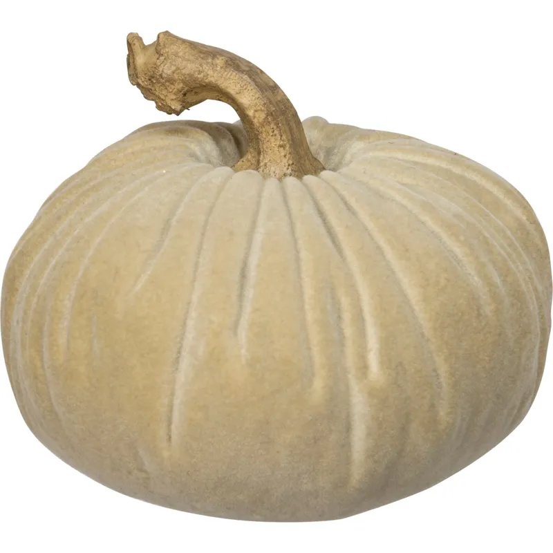 107421_40_.jpg