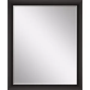 #459 22 x 28 Beveled Mirror