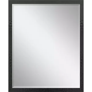 #550 24 x 30 Beveled Mirror