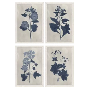 Pressed Flower II S/4 Framed Art