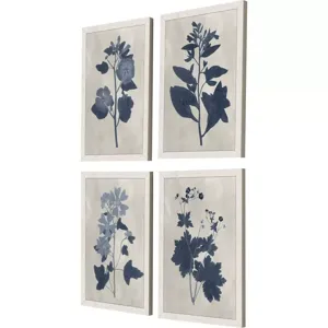 Pressed Flower II S/4 Framed Art