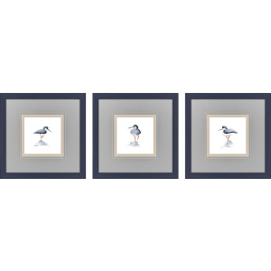 Shorebird Song II S/3 Framed Art