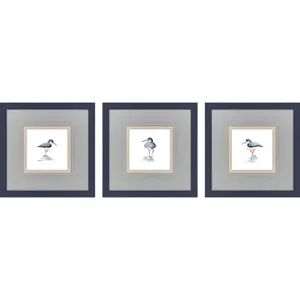 Shorebird Song II S/3 Framed Art