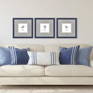 Shorebird Song II S/3 Framed Art