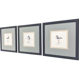 Shorebird Song II S/3 Framed Art