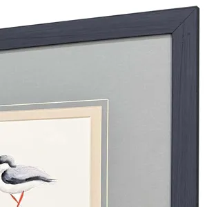 Shorebird Song II S/3 Framed Art