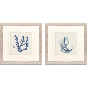 Blue Corals I S/2 Framed Art