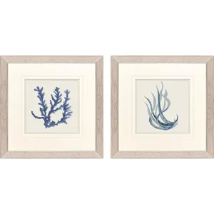 Blue Corals I S/2 Framed Art
