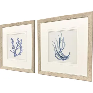 Blue Corals I S/2 Framed Art