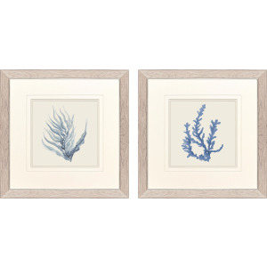 Blue Corals II S/2 Framed Art