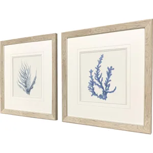 Blue Corals II S/2 Framed Art