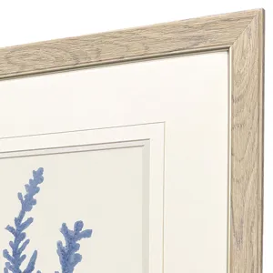 Blue Corals II S/2 Framed Art
