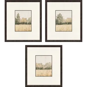 Watercolor Woods I S/3 Framed Art