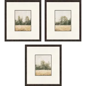 Watercolor Woods II S/3 Framed Art