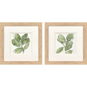 Summer Leaves S/2 Framed Art