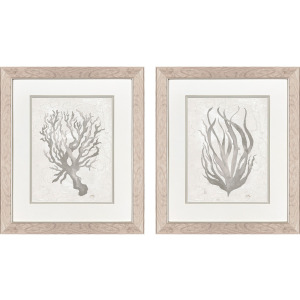 Neutral Seagrass S/2 Framed Art