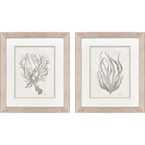 Neutral Seagrass S/2 Framed Art