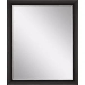 #459 30 x 40 Beveled Mirror