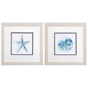 Starfish Sand Dollar S/2