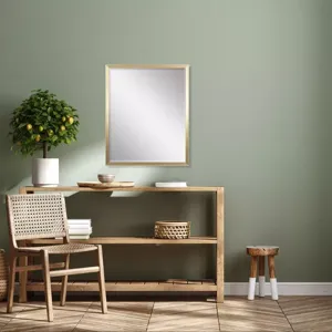 #540 22 x 28 Beveled Mirror