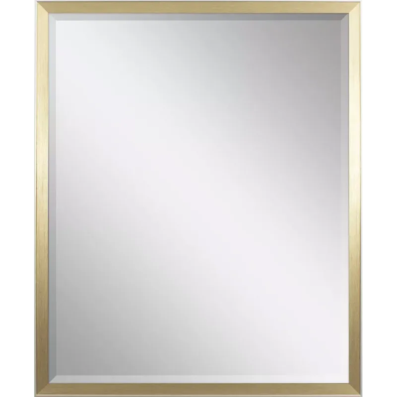 #540 22 x 28 Beveled Mirror