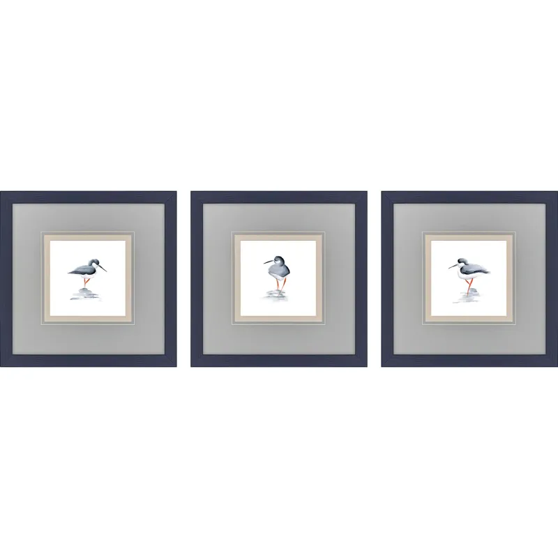 Shorebird Song II S/3 Framed Art