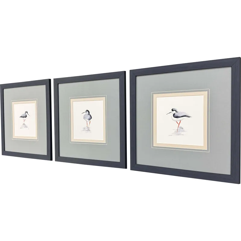 Shorebird Song II S/3 Framed Art