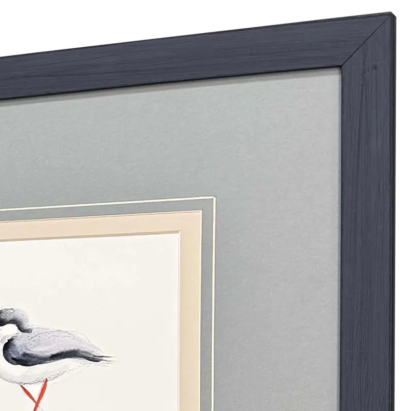 Shorebird Song II S/3 Framed Art