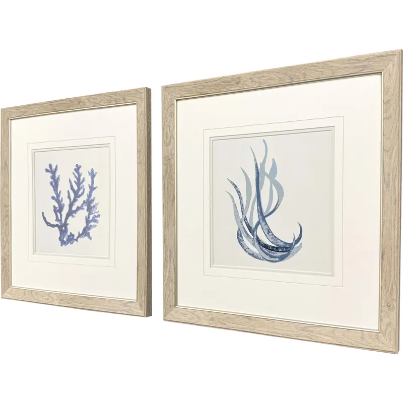 Blue Corals I S/2 Framed Art