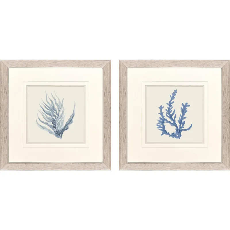 Blue Corals II S/2 Framed Art