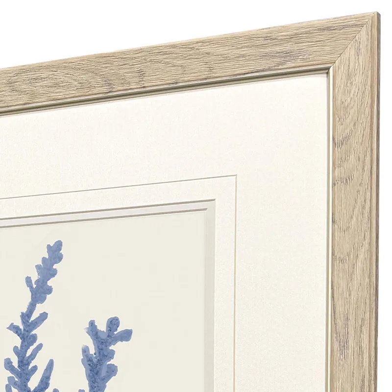 Blue Corals II S/2 Framed Art