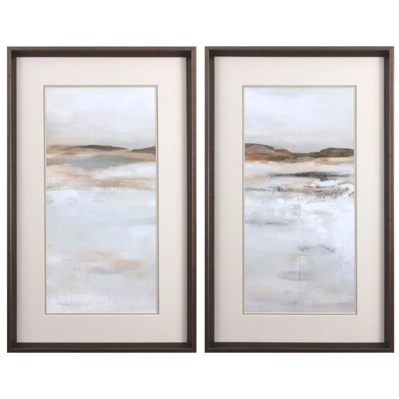 Desert Floor S/2 Framed Art