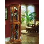 Angled 5 Shelf Mirrored Curio in Golden Oak Brown