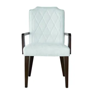 Asher Park Upholstered Arm Chair
