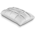 Body Chemistry SoftCell Comfy Reversible Hybrid Pillow